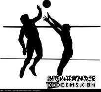 2025年广西青少年排球锦标赛及选拔赛询价函发布