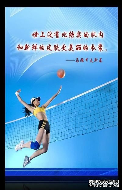 2025排球赛季伤病管理创新引发关注战绩与健康双提升